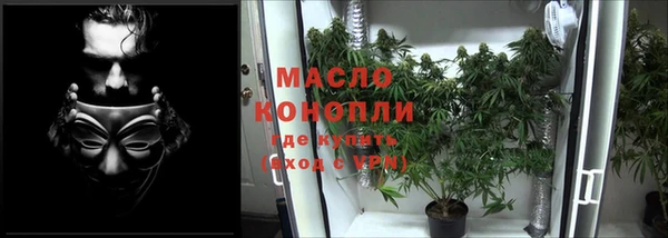бошки Новодвинск